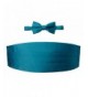 Spring Notion Mens Cummerbund Teal