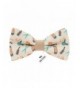 Bow Tie House Hipster pre tied