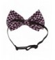 Men's Bow Ties Wholesale