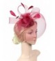 Hot deal Women's Fascinators Outlet