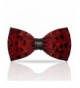 Lanzonia Feather Red Bow Tie x