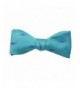 SummerTies Shark Bow Tie Yourself