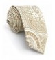 Shlax Cream Paisley Necktie Wedding